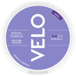 VELO ROYAL PURPLE MINI